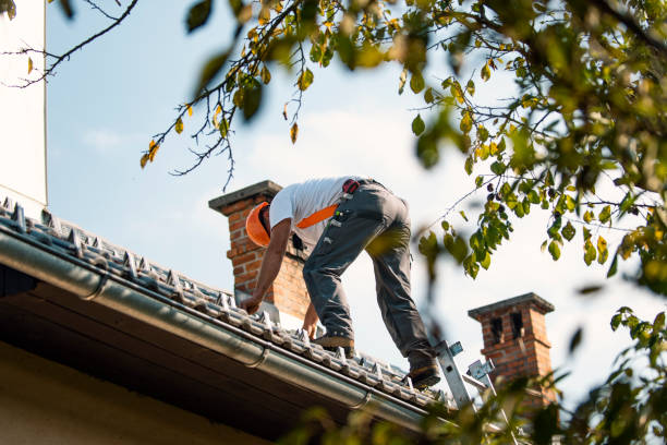 Best Roof Gutter Cleaning  in Rome City, IN