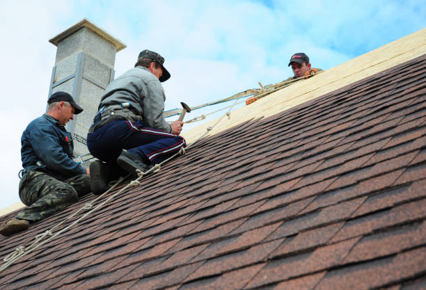 Best Roof Installation Near Me  in Rome City, IN