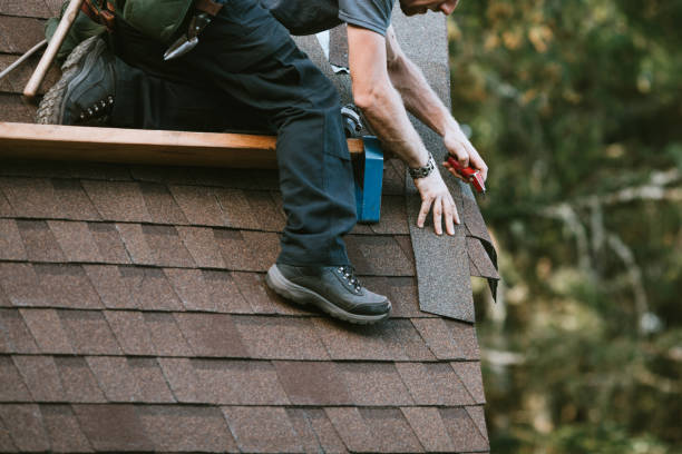 Best Residential Roofing Contractor  in Rome City, IN